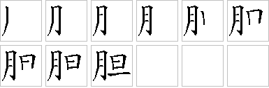 胆的笔画顺序正确写法图