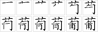 葡的笔画顺序正确写法图